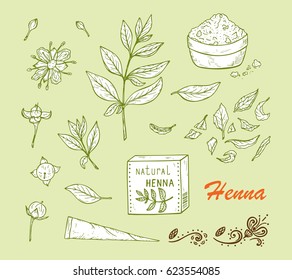 Medicinal plants Vector Set. Henna plant. Lawsonia inermis plant: Flower buds, Flowers, Seeds, Fresh Leaves, Dry leaves, Henna Powder, Mehandi cone. Alternative medicine. Traditional herbal therapy