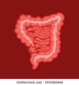 Medicine, biology concept. Large intestine, part of the digestive system. Gastrointestinal tract