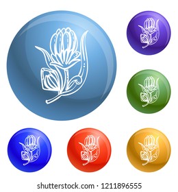 Medicine calendula icons set vector 6 color isolated on white background