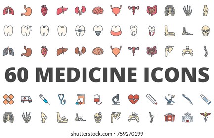 Medicine Colored icon Organs bones Skeleton Disease Dentist Hospital