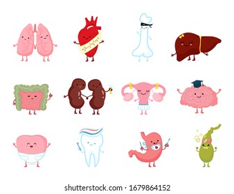 Medicine health human organ with smile character hand drawn anatomy healthy vector illustration isolated on white. Comic brain, heart, bone, liver. Healthy intestine, kidney, reproductive organ, tooth