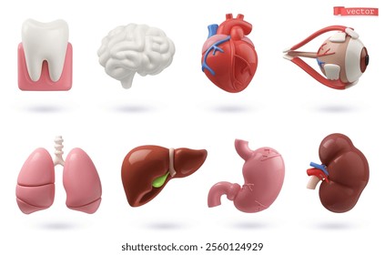 Medicine icon set. 3d render vector objects. Tooth, brain, heart, eye, lungs, liver, stomach, kidney, human internal organs