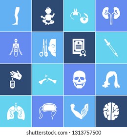 Medicine icon set and medical license with dropper, lung and hair. Mind related medicine icon vector for web UI logo design.