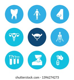 Medicine icon set and test tubes with neck, human body and bladder. Beauty related medicine icon vector for web UI logo design.