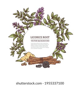 Medicine Plant Licorice Herb With Root, Flower, Leaves And Branches.