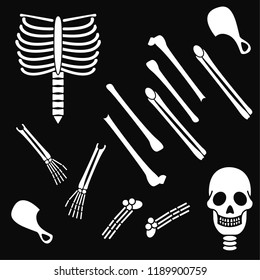 medicine skeleton body part black background