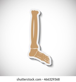 Medicine. Vector illustration. Realistic image of the contour object