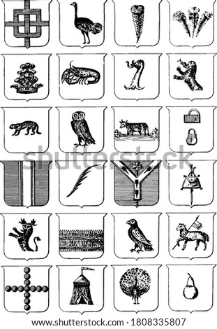 Medieval Heraldry Coat of Arm's, vector
