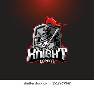Medieval warrior knight with sword and shield, knight vector