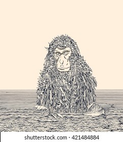 Meditating Zen Monkey. The Spikes of Science.