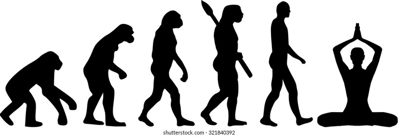 Meditation Evolution