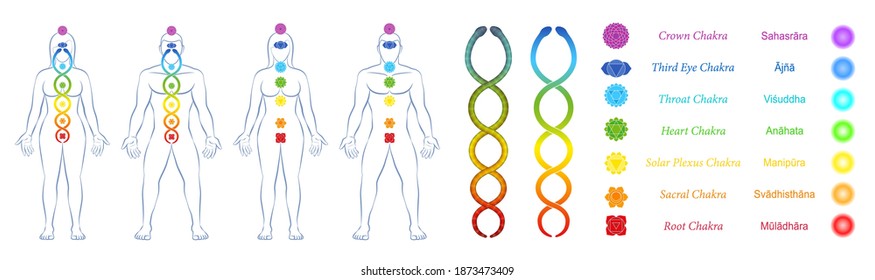 Meditation symbol set with chakras, kundalini, yoga man and woman, sanskrit names and buttons for webpages. Collection of icons and design tools for websites. Vector on white.
