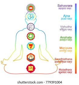 meditation yoga man with chakras. vector illustration