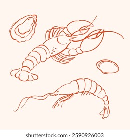  Mediterranean Dolce Vita-style vintage illustrations Shrimps and  lobster, suitable for restaurant and marine cafe menus. Doodles print
