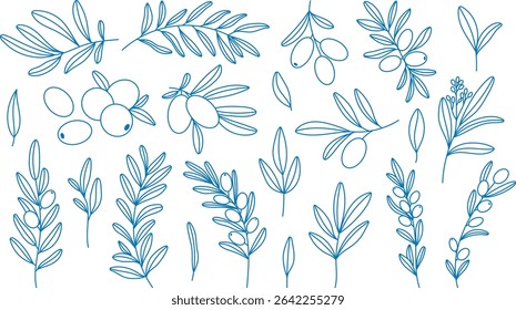 Mediterranean olive branch set in blue line art style. Hand-drawn doodle elements Greek and Italian leaves, flora. Vector clipart for summer botanical designs