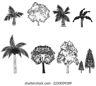 Mediterranean trees. Big collection. Ink sketch isolated on white background. Hand drawn vector illustration. Retro style.