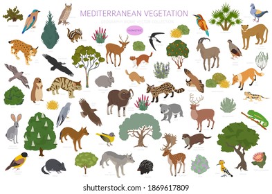 Bioma vegetal mediterráneo, infografía de la región natural. Mapa mundial de ecosistemas terrestres. Animales, pájaros y vegetaciones de diseño isométrico. Ilustración del vector