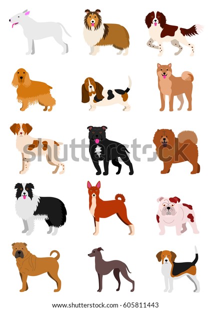 Medium Dog Breeds Line Art Set Stock Vector (Royalty Free) 605811443