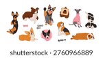Medium dog breeds set. Dachshund, border collie, corgi, basenji, blue heeler, beagle, cocker spaniel, whippet, English bulldog, springer spaniel. Hand drawn vector illustration