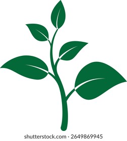 Medium plant icon showing leafy growth representing natural product growth or green farming progress with transparent background