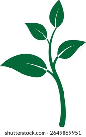 Medium plant icon showing leafy growth representing natural product growth or green farming progress with transparent background