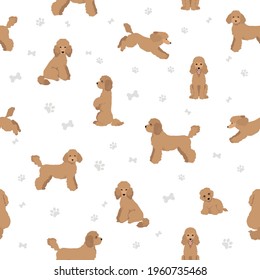 Medium poodle clipart. Different poses, coat colors set.  Vector illustration