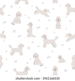 Medium poodle in different poses clipart seamless pattern. Vector illustration set