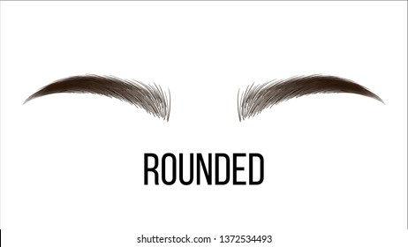 Medium Rounded Vector Hand Drawn Brows Shape. Female Brown Brows Style With Name Isolated Clipart. Microblading Master. Beauty, Cosmetology Salon. Eyebrows Shadows Realistic Illustration