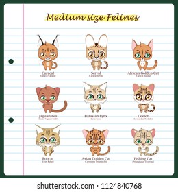 Medium sized feline illustrations with regular and scientific names