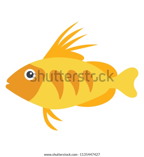 medium sized tropical fish