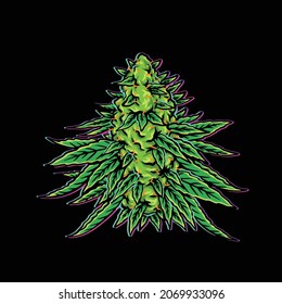 Medium Tree Plant Weed Cannabis Bud Nug Flower Marijuana