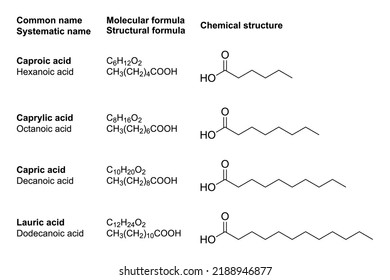 Medium-chain fatty acids, MCFAs, chemical structures. Contained in medium-chain triglycerides, who produce more ketone bodies than normal dietary fats, hence they are used in a ketogenic diet. Vector.