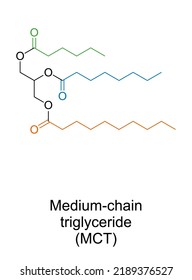 Medium-chain triglyceride, MCT, chemical structure. Example with 3 medium-chain fatty acids. Caproic acid in green, caprylic in blue and capric acid in orange. Used in ketogenic diet and bodybuilding.