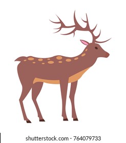 Medium-sized adult male deer with spotted fur, long antlers and short tail isolated vector illustration on white background, view from Left
