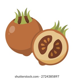 Ilustración vectorial de frutas de níspero. Mespilus Germanica marrón con hojas verdes aisladas. Fruta de invierno antigua