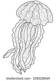Medusa antistress coloring. Marine animal vector illustration