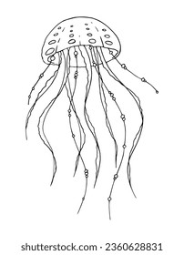 Medusa, black and white vector illustration isolated on a white background, hand-drawn. Contour drawing of a jellyfish for coloring. Marine and oceanic animal.