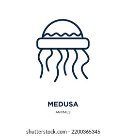 medusa icon from animals collection. Thin linear medusa, cartoon, animal outline icon isolated on white background. Line vector medusa sign, symbol for web and mobile