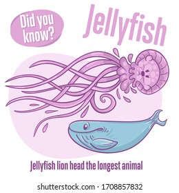 Medusa. Interesting facts about jellyfish. Did you know? 