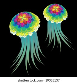 Medusa / jelly fish / vector
