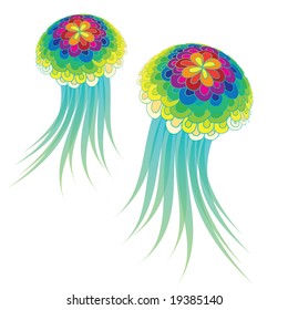 Medusa / jelly fish / vector