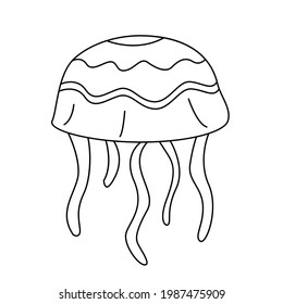 Medusa, jellyfish isolated on white. Line drawing. Design element.  Isolated on white