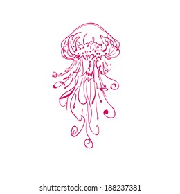 Medusa. Vector illustration.