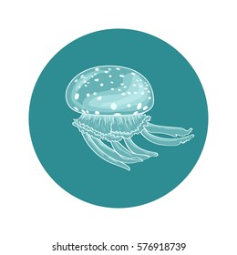 medusa. Vector illustration
