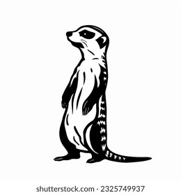 Meerkat animal desert vector white background wildlife beast Vector image the Cartoon happy meerkat