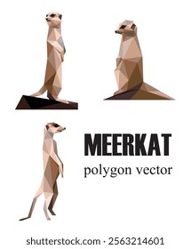 Meerkat animal in polygonal low poly logo Collection. Set Vector illustration abstract of meerkat. Meerkat animal abstract logo vector