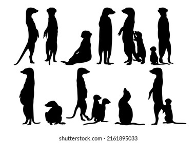 Meerkat. Black and white illustration, template for plotter lazer cutting and print