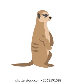 Meerkat cartoon clipart. Meerkat vector illustration in flat style. Hand-drawn wild animal concept