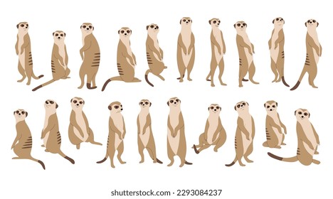 Meerkat Collection 1 cute white background  vector illustration