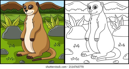 Meerkat Coloring Page Vector Illustration